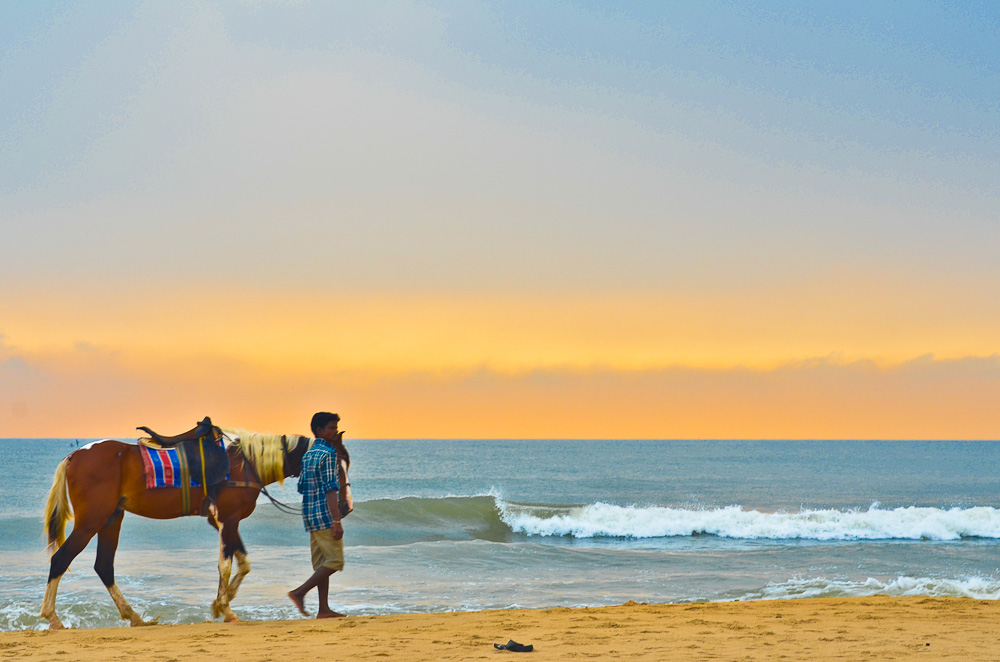 Horse riding is a very famous tourist attraction in some of the major cities and Marina Beach is no exception, You get to ride on this horse with its master close by for 25 Rupees for five minutes.Its a  must for everybody to give a try and its a completely different feeling.